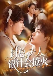 封總，夫人銀針會撩火