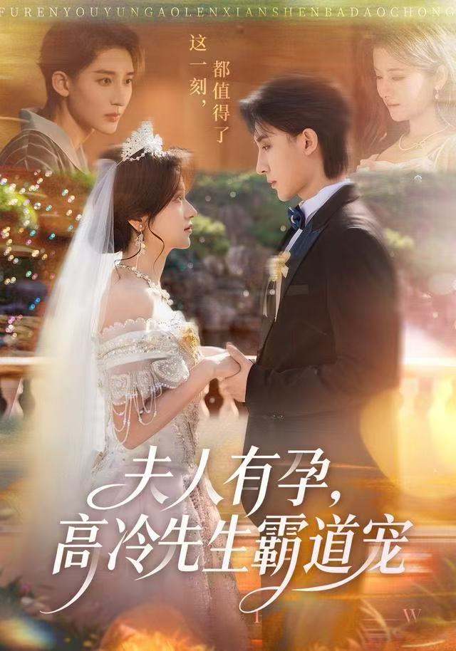 夫人有孕，高冷先生霸道寵